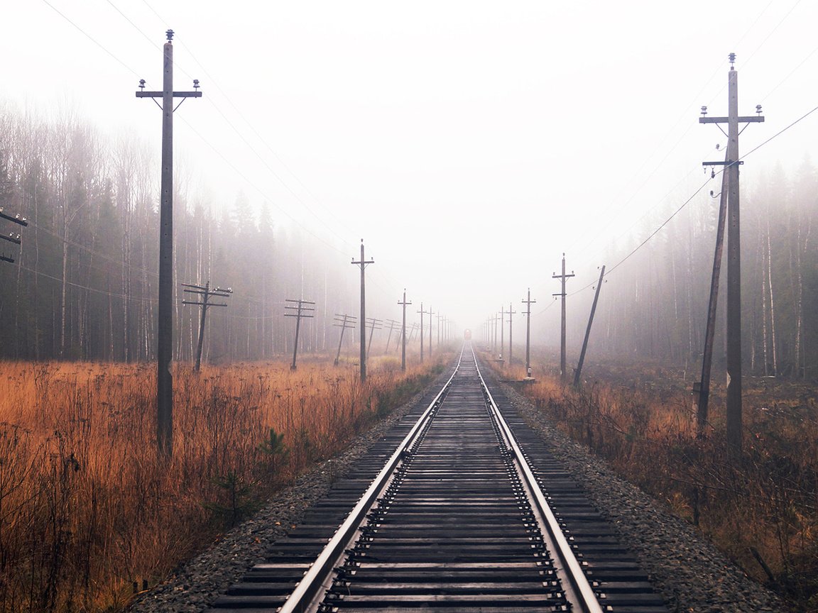 Обои железная дорога, лес, осень, railroad, forest, autumn разрешение 1920x1080 Загрузить