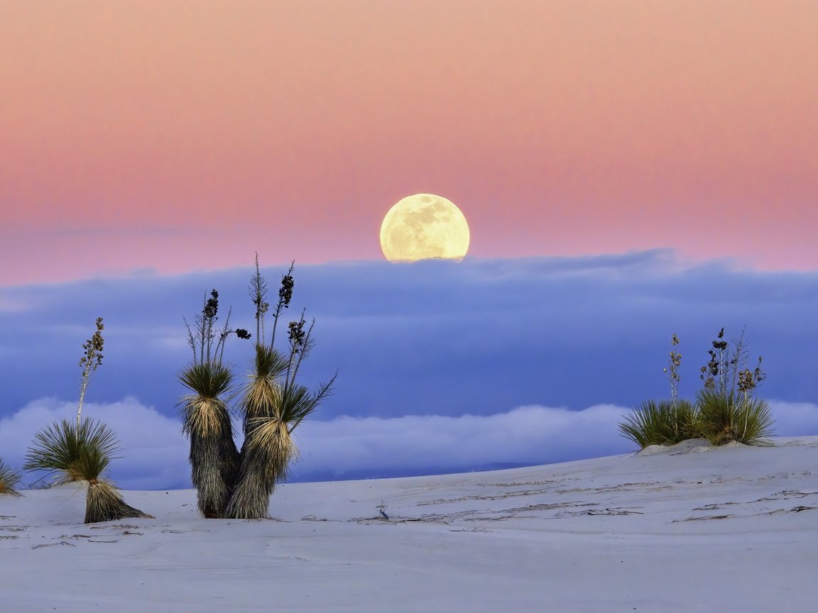 Обои пустыня, луна, сша, нью-мексико, white sands national monume, desert, the moon, usa, new mexico разрешение 2048x1356 Загрузить