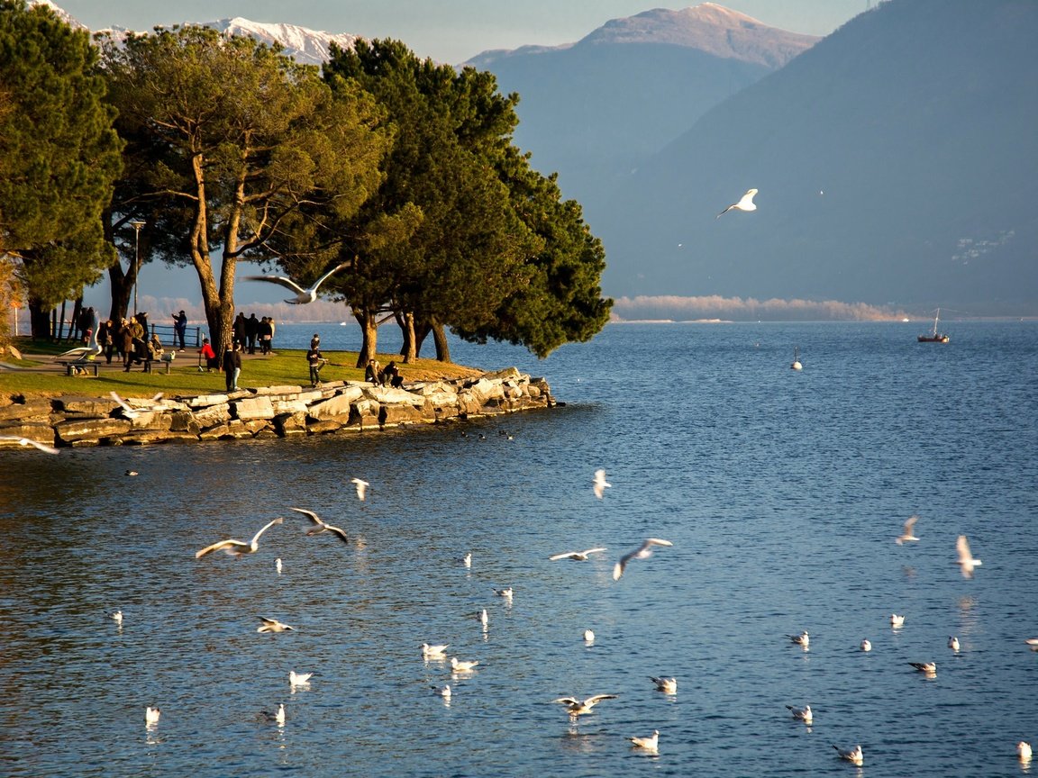 Обои озеро, швейцария, маджоре, lake, switzerland, maggiore разрешение 2047x1365 Загрузить