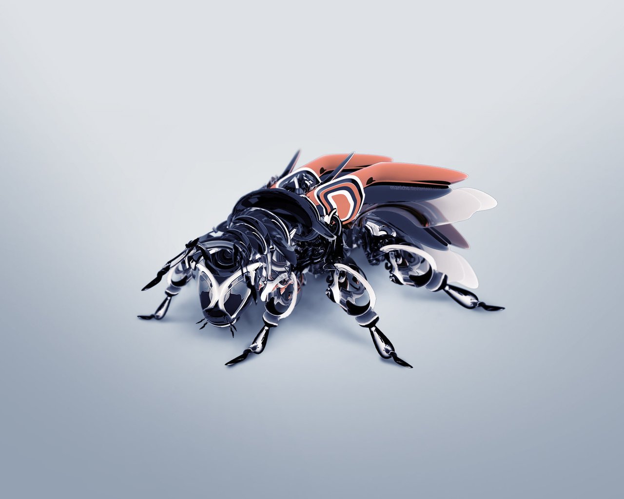 Обои жук, крылья, усики, 3д, beetle, wings, antennae, 3d разрешение 2560x1600 Загрузить