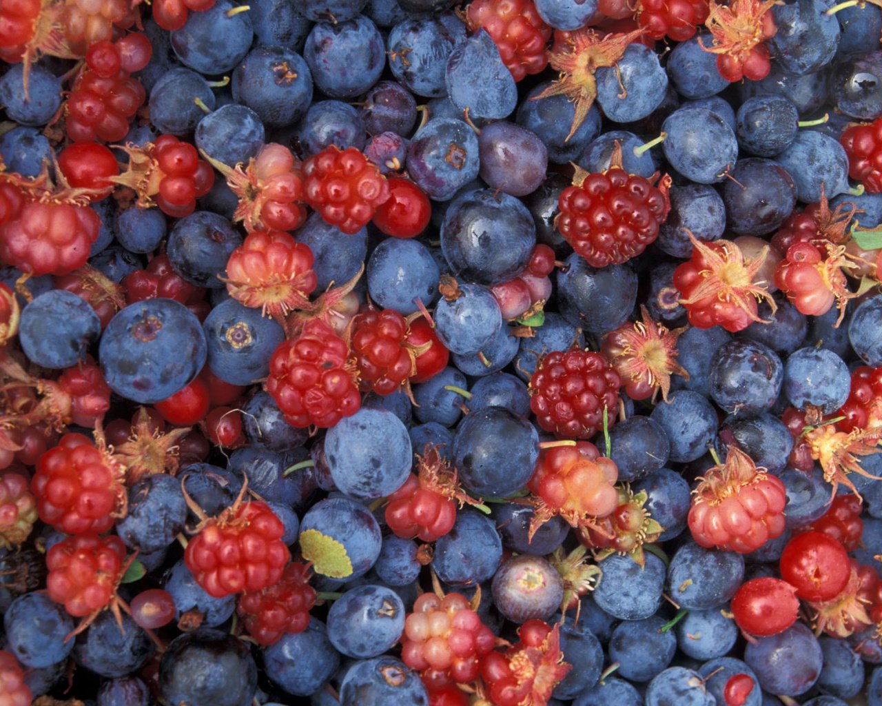 Обои малина, еда, ягоды, лесные ягоды, черника, raspberry, food, berries, blueberries разрешение 2400x1600 Загрузить