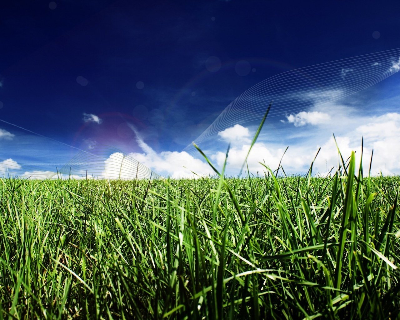 Обои трава, облака, линии, grass, clouds, line разрешение 1920x1200 Загрузить
