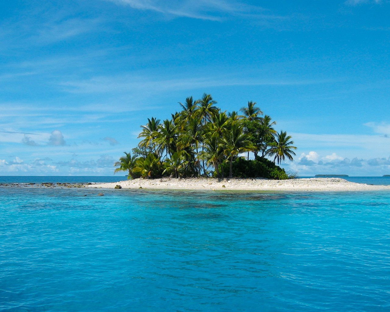 Обои море, пляж, пальмы, остров, тропики, sea, beach, palm trees, island, tropics разрешение 1920x1200 Загрузить