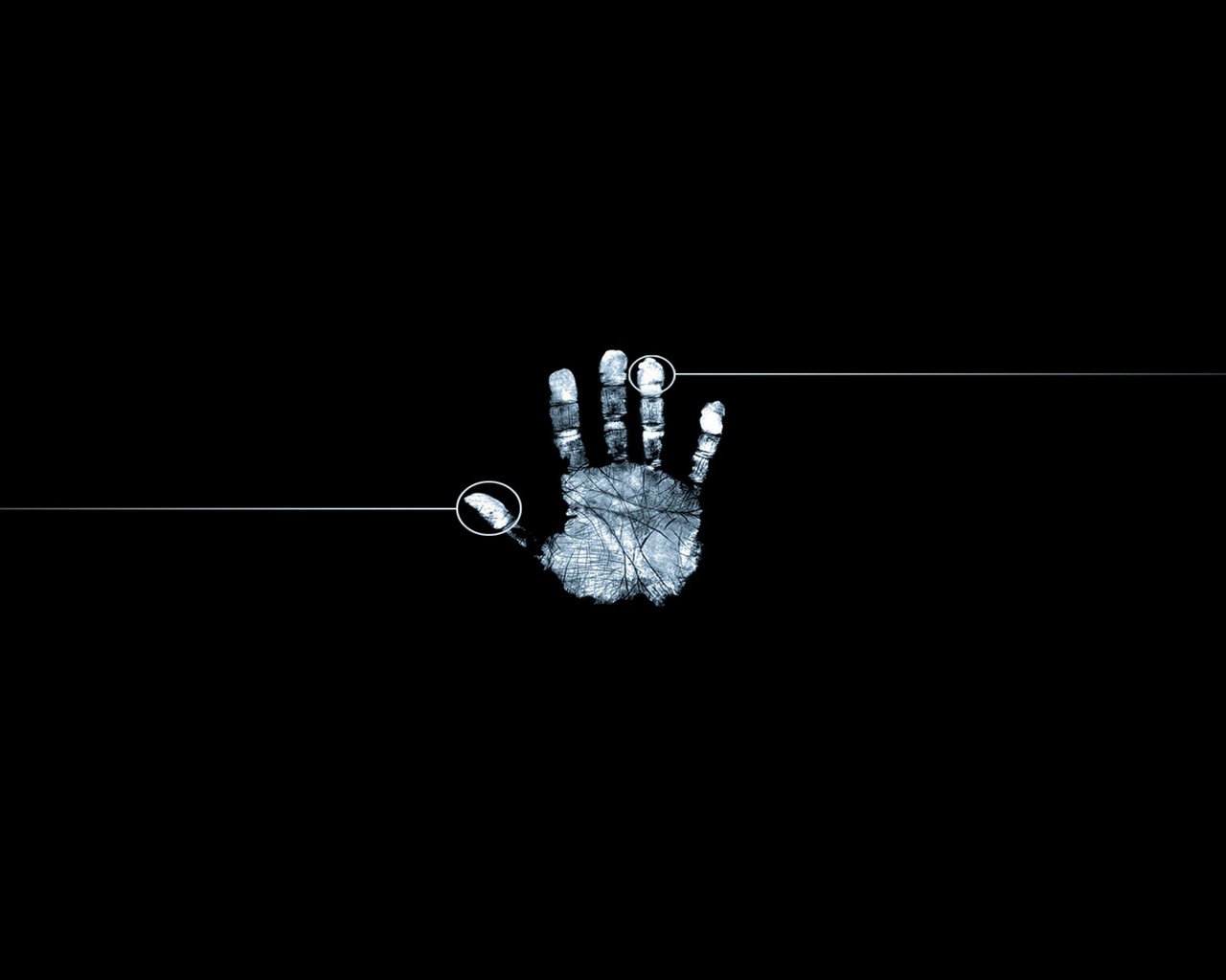 Обои линии, рука, отпечатки, пальчики, line, hand, prints, fingers разрешение 1920x1200 Загрузить