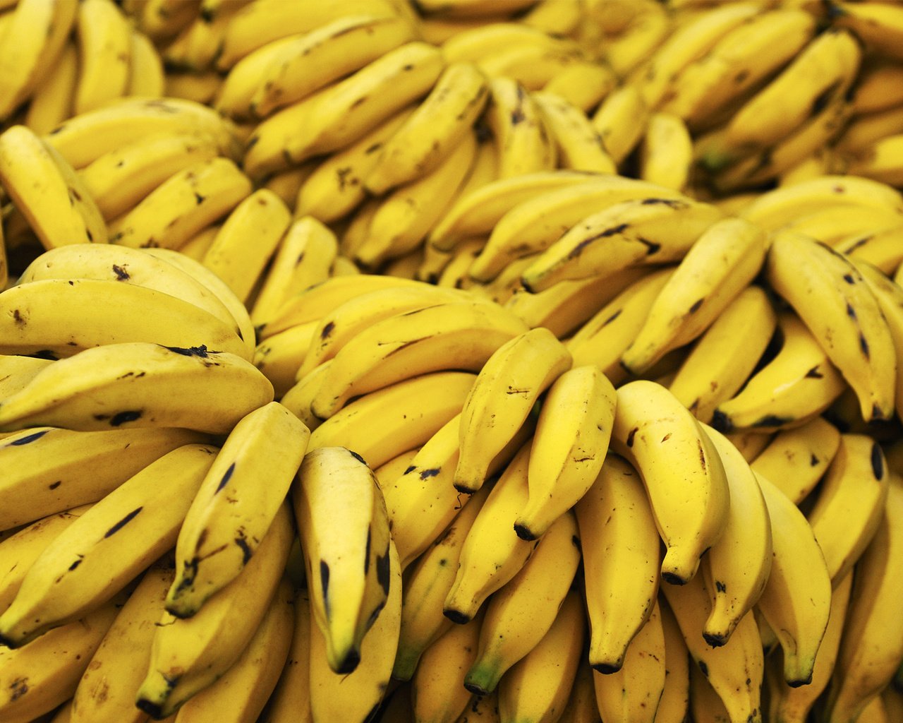 Обои фон, еда, много, растение, желтые, бананы, background, food, a lot, plant, yellow, bananas разрешение 1920x1200 Загрузить