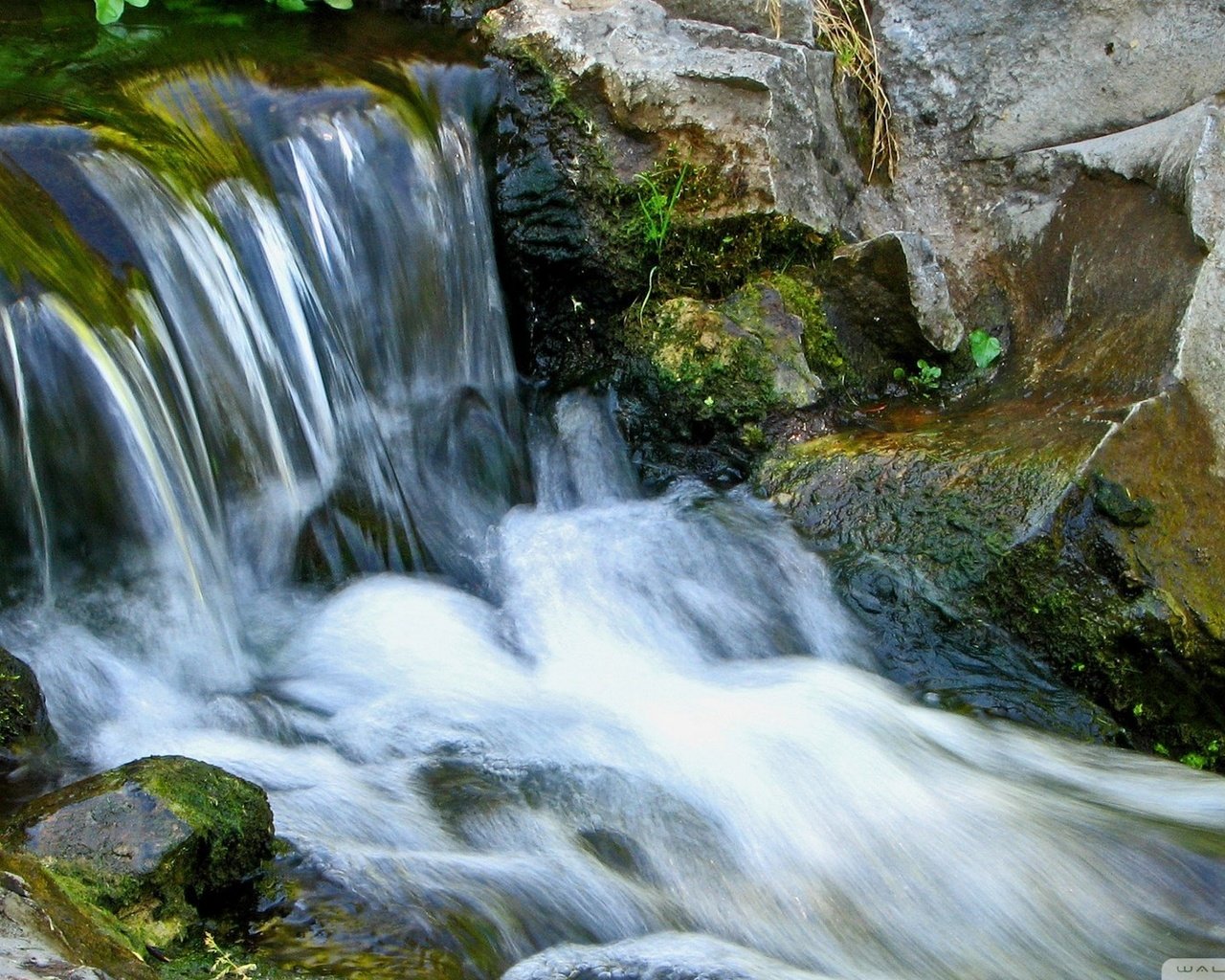 Обои река, камни, ручей, водопад, поток, мох, течение, river, stones, stream, waterfall, moss, for разрешение 1920x1080 Загрузить
