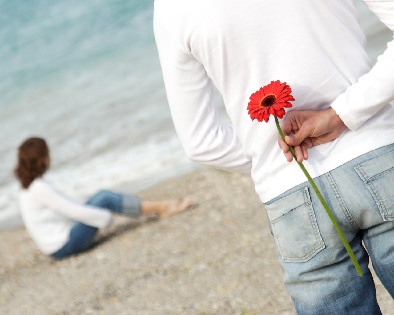 Обои цветок, пляж, любовь, романтика, пара, flower, beach, love, romance, pair разрешение 3276x2336 Загрузить