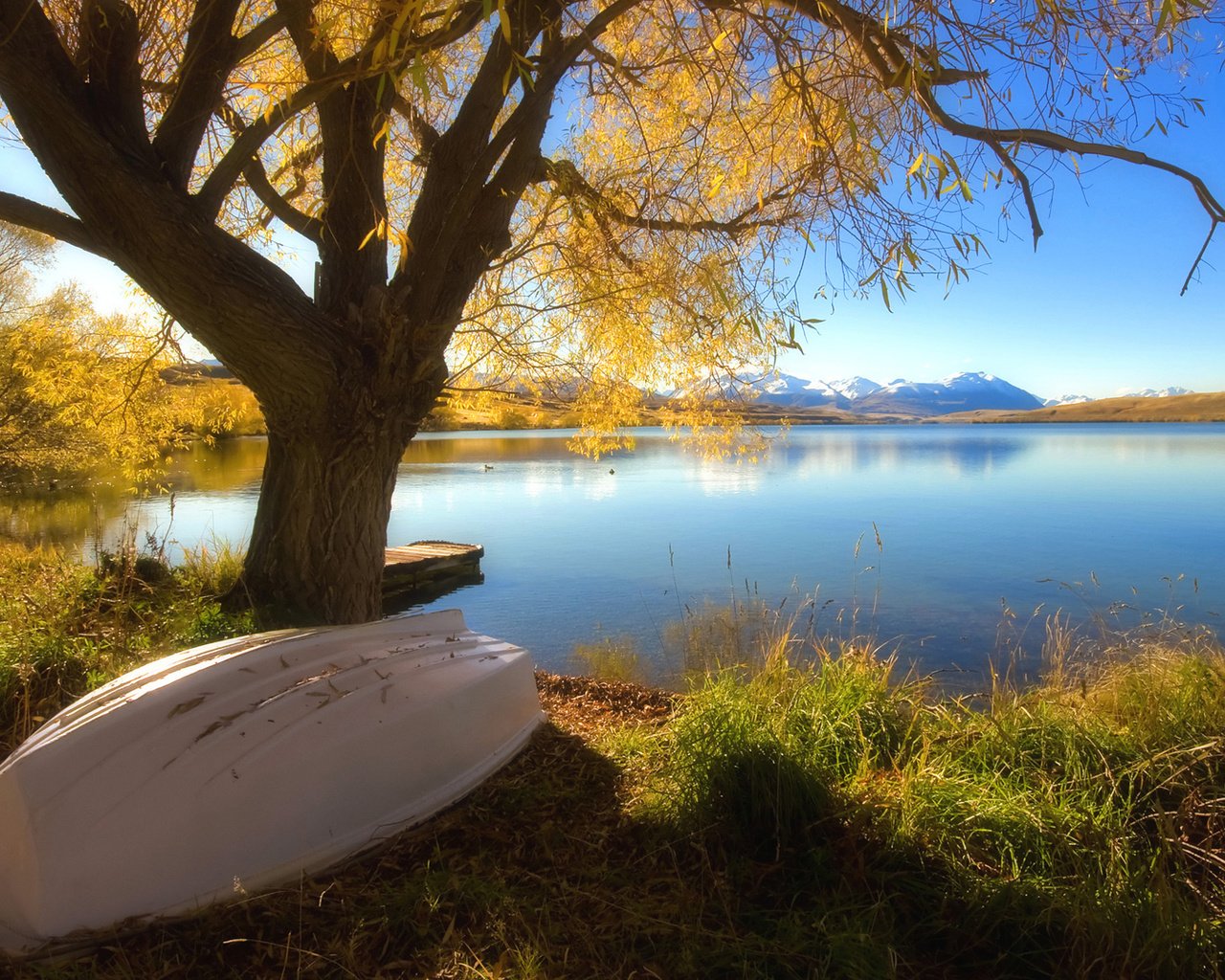 Обои озеро, дерево, осень, лодка, lake, tree, autumn, boat разрешение 1920x1080 Загрузить