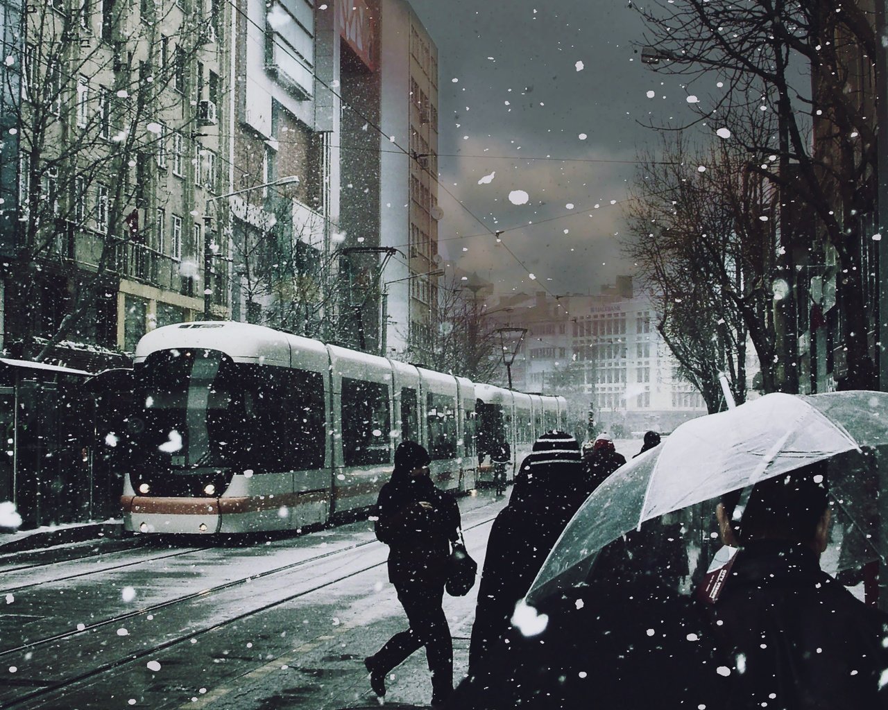 Обои снег, люди, трамвай, зонты, snow, people, tram, umbrellas разрешение 1920x1200 Загрузить