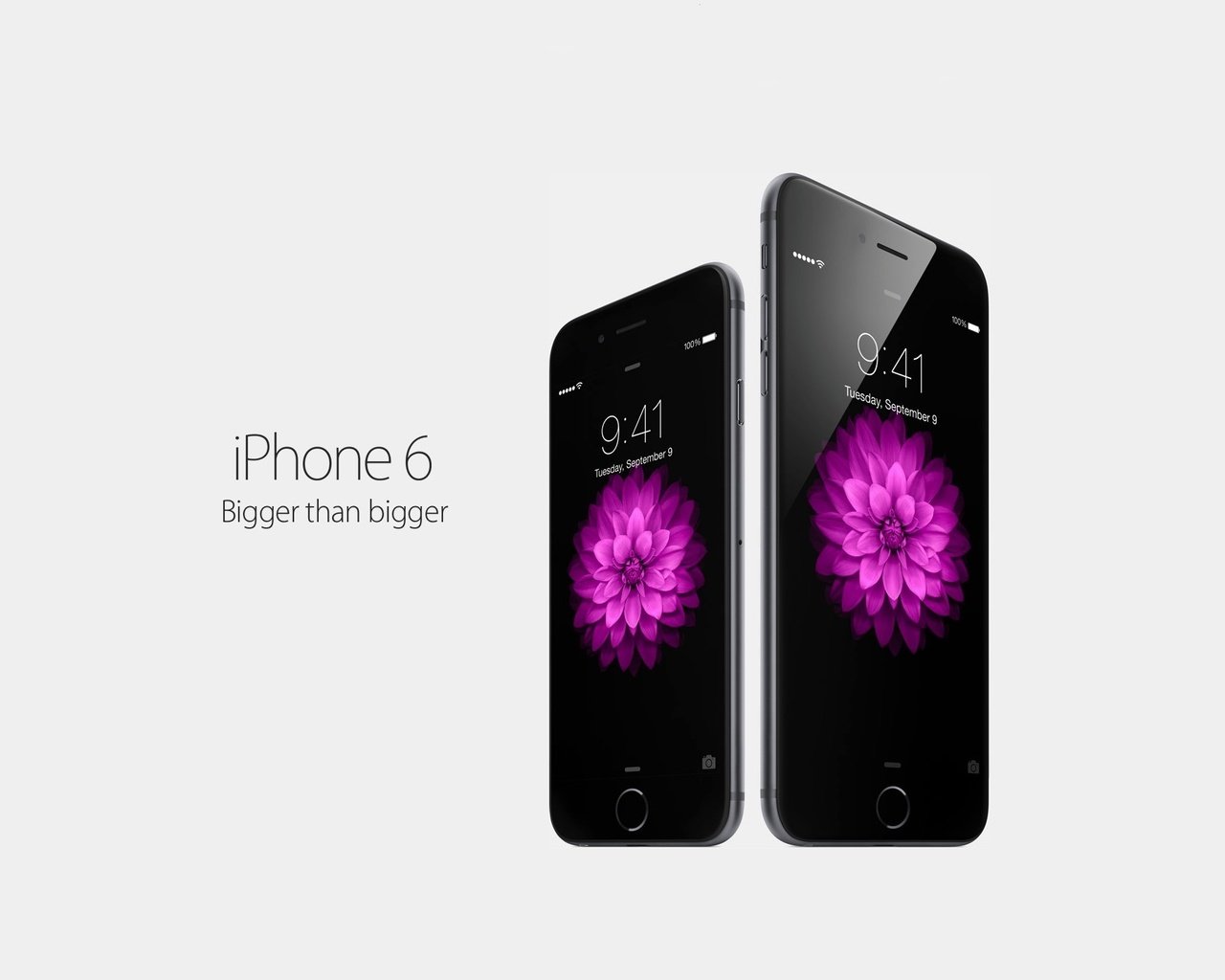 Обои bigger, its better, iphone6, iphone 6 plus, isnt simply, эппл, apple разрешение 2560x1440 Загрузить