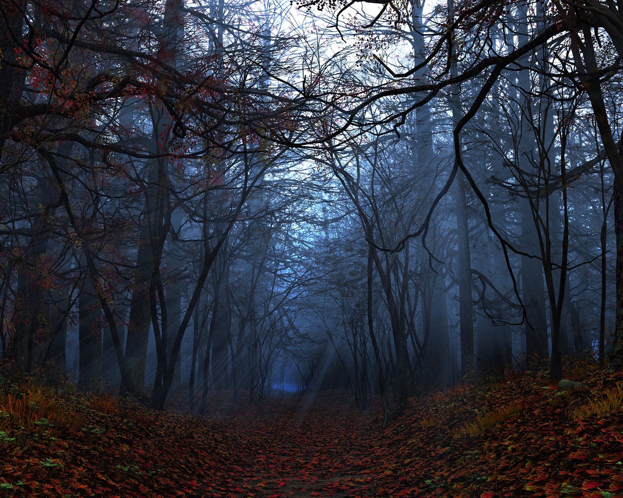 Обои свет, деревья, лес, листья, лучи, осень, light, trees, forest, leaves, rays, autumn разрешение 1920x1200 Загрузить