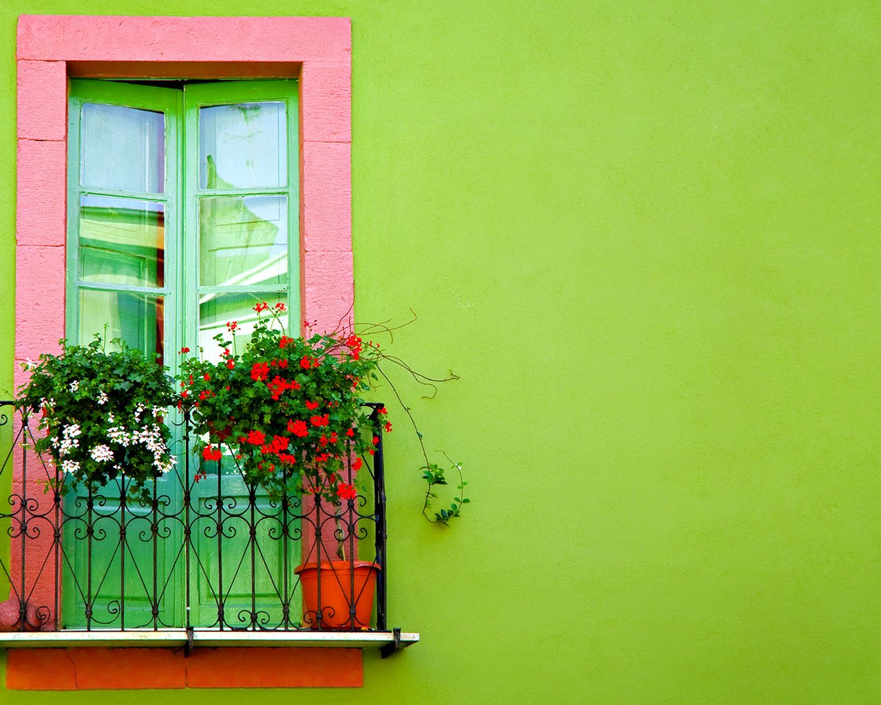 Обои цветы, фон, здание, балкон, flowers, background, the building, balcony разрешение 1920x1080 Загрузить