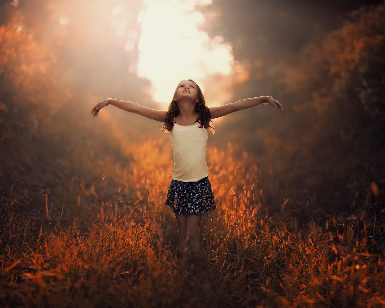 Обои солнце, природа, настроение, дети, девочка, ребенок, руки, the sun, nature, mood, children, girl, child, hands разрешение 2048x1335 Загрузить