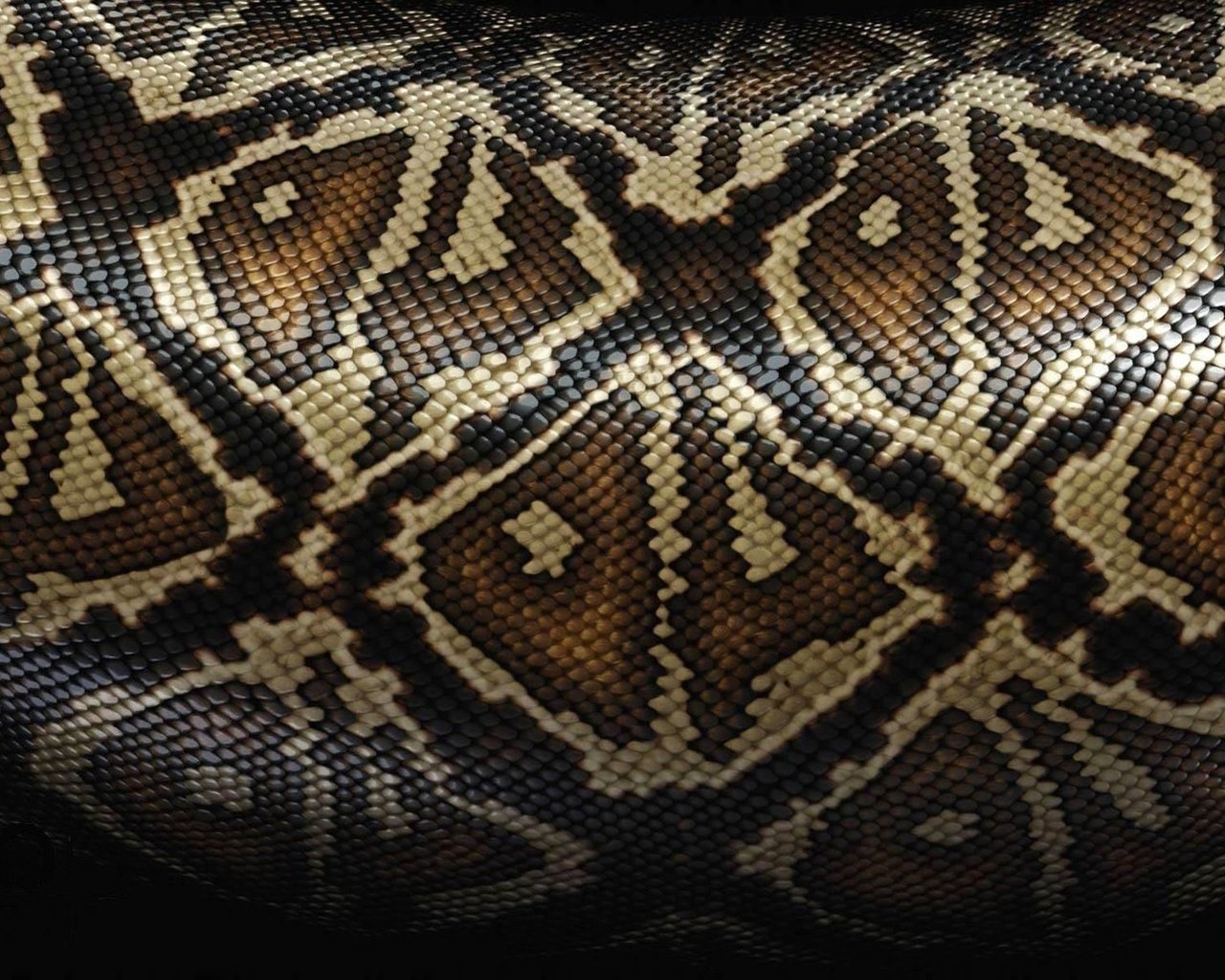 Обои рисунок, змея, кожа, расцветка, питон, змеиная кожа, figure, snake, leather, colors, python, snakeskin разрешение 1920x1200 Загрузить