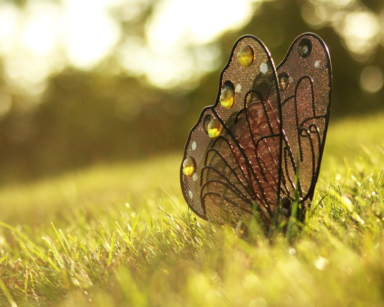 Обои трава, бабочка, украшение, grass, butterfly, decoration разрешение 4272x2848 Загрузить