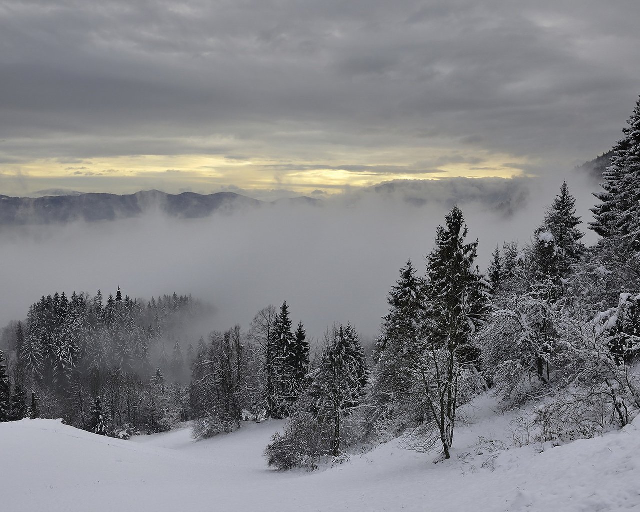 Обои деревья, горы, снег, зима, туман, trees, mountains, snow, winter, fog разрешение 1920x1280 Загрузить
