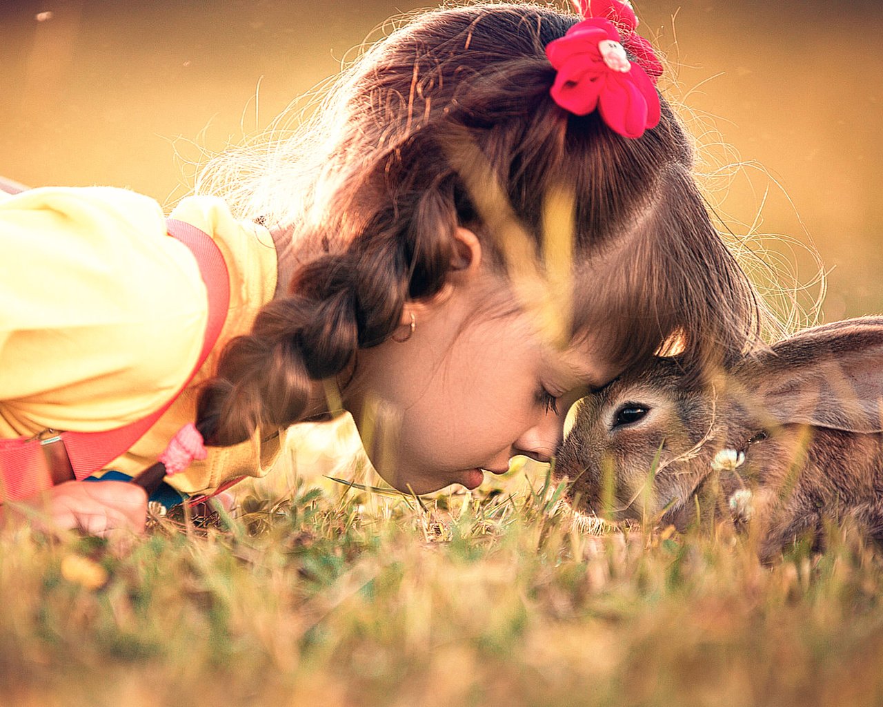 Обои трава, девочка, ребенок, кролик, животное, дружба, заяц, grass, girl, child, rabbit, animal, friendship, hare разрешение 2000x1125 Загрузить