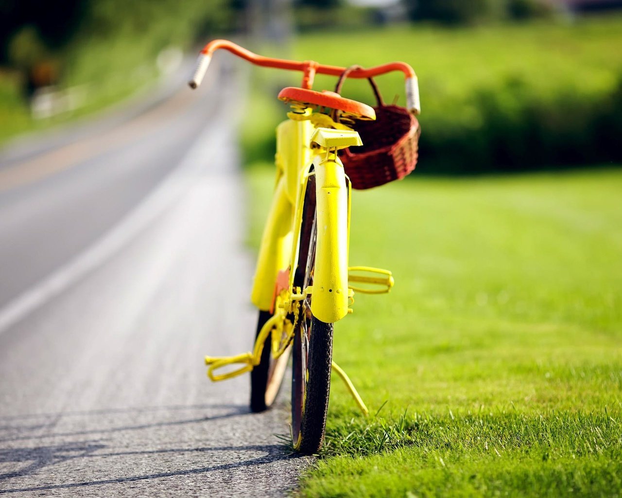 Обои дорога, природа, велосипед, road, nature, bike разрешение 2048x1365 Загрузить