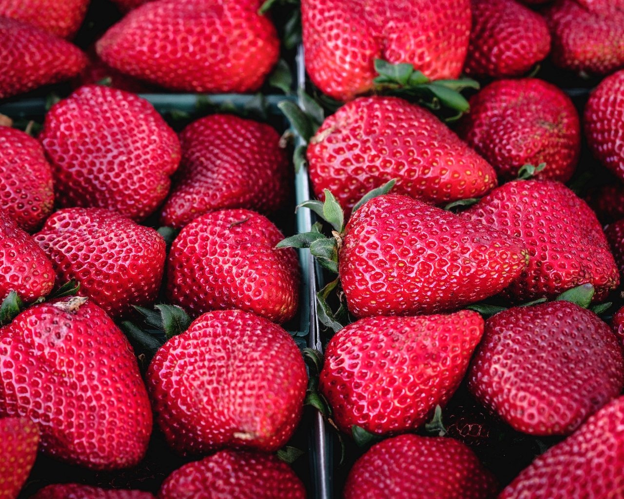 Обои ягода, красная, клубника, спелая, berry, red, strawberry, ripe разрешение 2880x1921 Загрузить