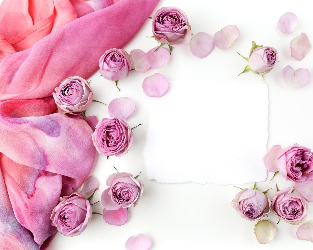Обои бутоны, розы, романтик,  цветы, роз, пинк, buds, roses, romantic, flowers, pink разрешение 5616x3744 Загрузить