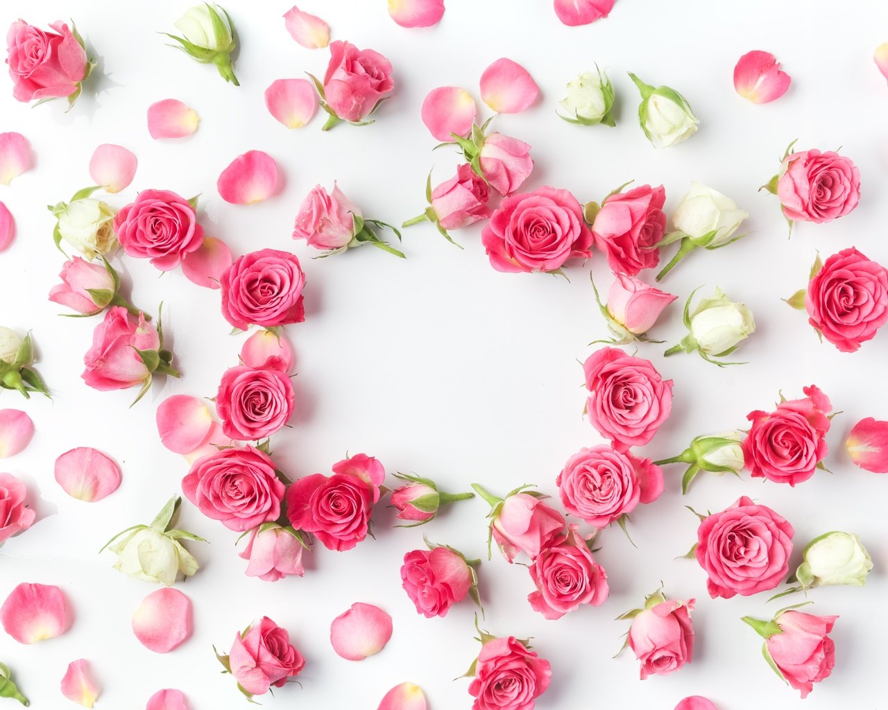 Обои цветы, бутоны, розы, лепестки, романтик,  цветы, роз, пинк, valentine`s day, flowers, buds, roses, petals, romantic, pink, valentine's day разрешение 5616x3744 Загрузить