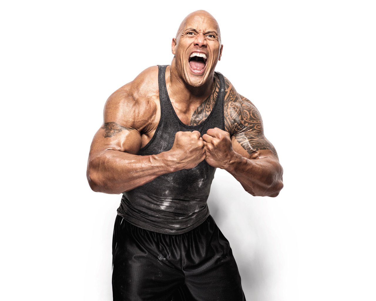 Обои взгляд, актёр, тату, лицо, мужчина, дуейн джонсон, look, actor, tattoo, face, male, dwayne johnson разрешение 2880x1800 Загрузить