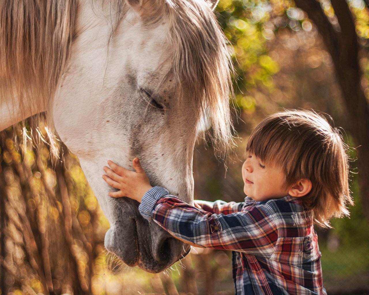 Обои лошадь, природа, ребенок, мальчик, животное, конь, agnieszka gulczynska, horse, nature, child, boy, animal разрешение 4761x3330 Загрузить