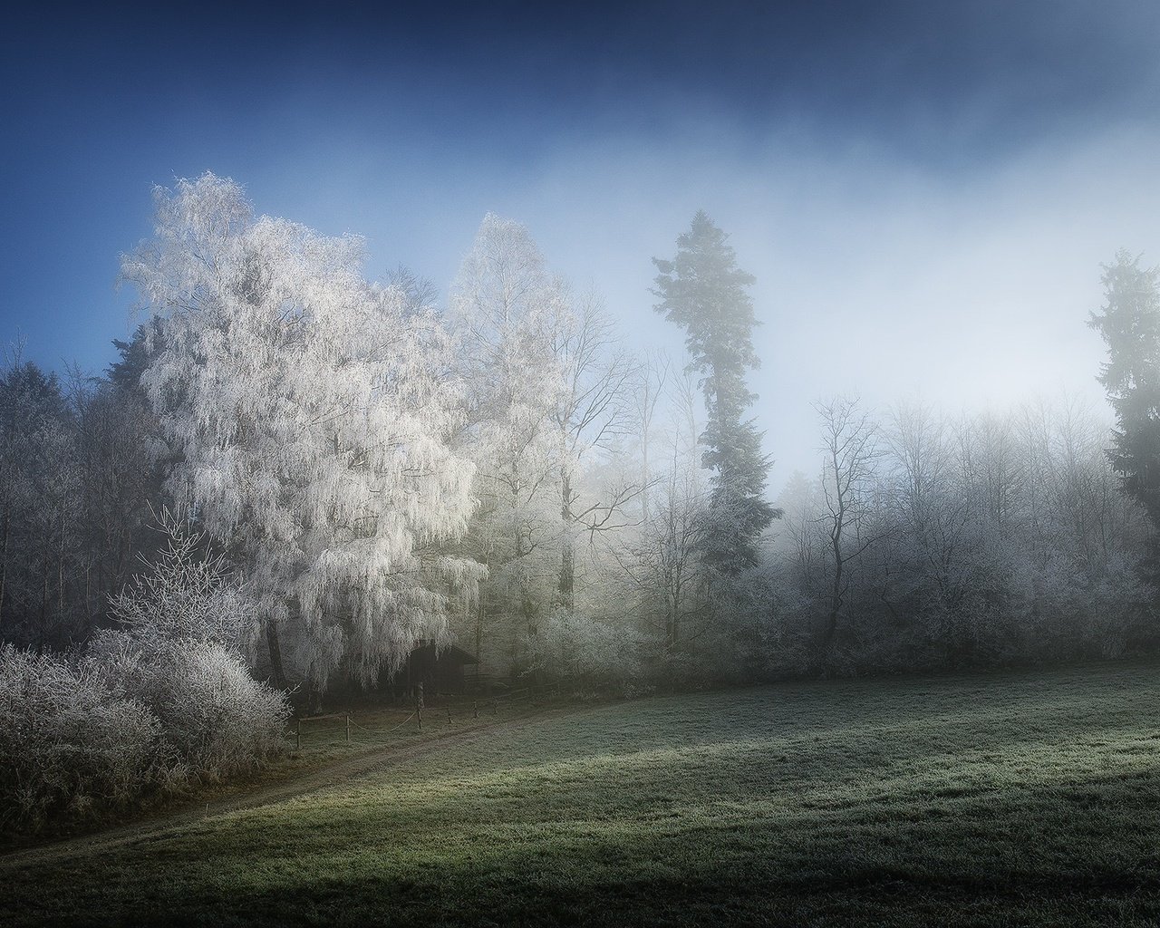 Обои деревья, природа, зима, туман, иней, trees, nature, winter, fog, frost разрешение 1920x1280 Загрузить