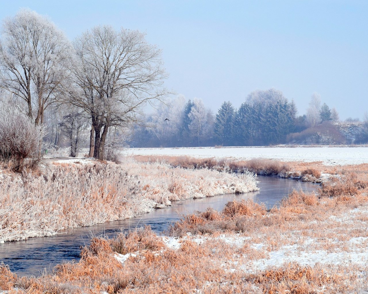 Обои трава, деревья, вода, снег, природа, лес, зима, иней, grass, trees, water, snow, nature, forest, winter, frost разрешение 1920x1317 Загрузить