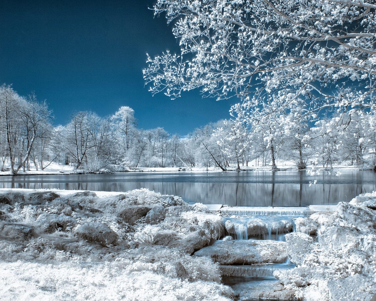 Обои небо, деревья, озеро, природа, зима, парк, иней, the sky, trees, lake, nature, winter, park, frost разрешение 1920x1200 Загрузить