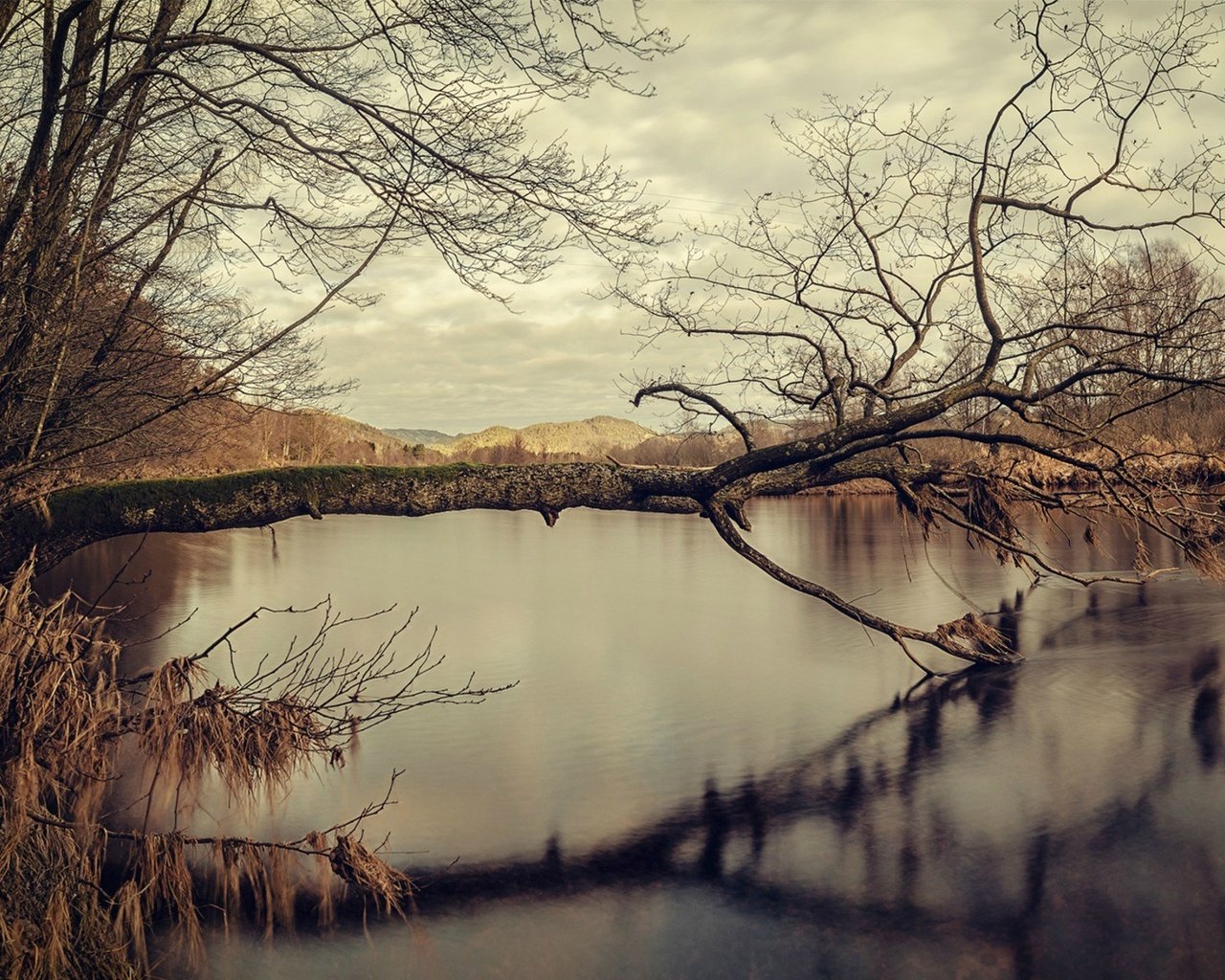 Обои озеро, дерево, отражение, осень, воде, lake, tree, reflection, autumn, water разрешение 1920x1200 Загрузить