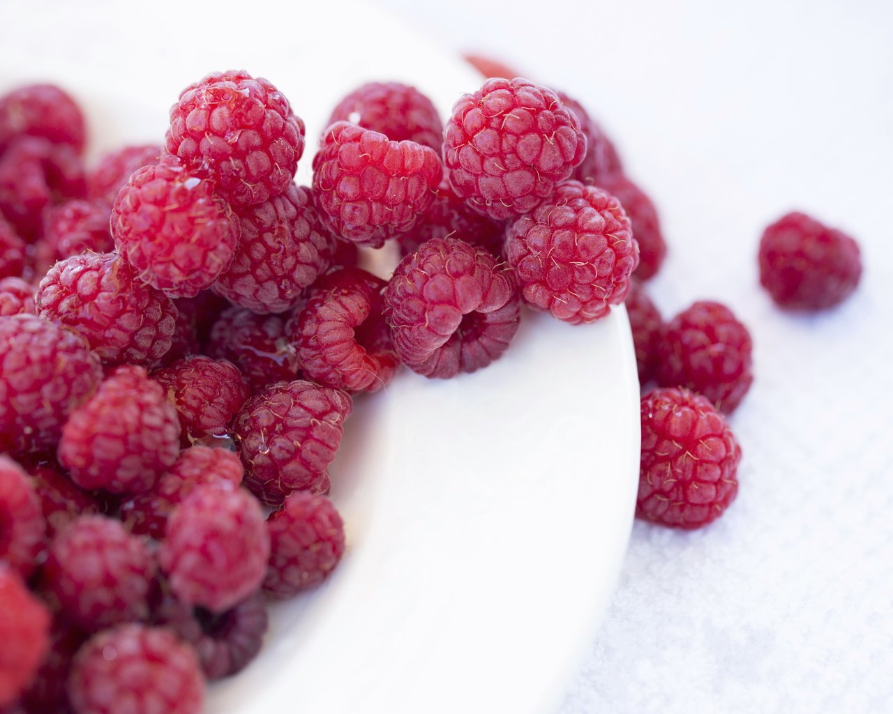 Обои малина, ягоды, белый фон, тарелка, raspberry, berries, white background, plate разрешение 5760x3840 Загрузить