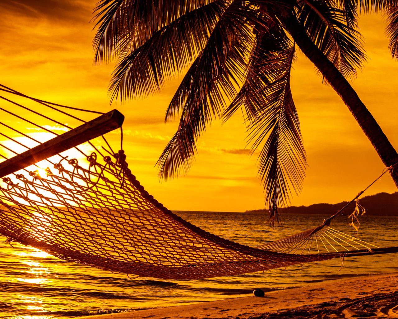 Обои закат, море, пляж, гамак, тропики, sunset, sea, beach, hammock, tropics разрешение 5616x3744 Загрузить