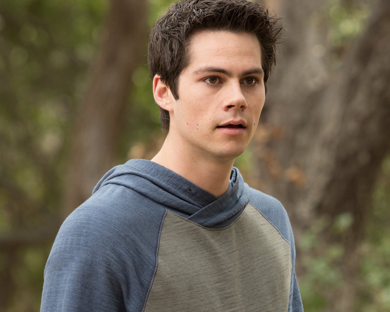 Обои взгляд, актёр, лицо, дилан о’брайен, look, actor, face, dylan o'brien разрешение 2070x1380 Загрузить