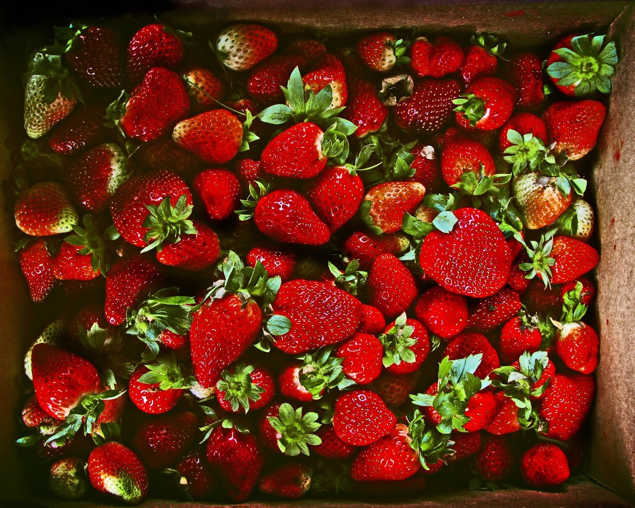 Обои клубника, ягоды, много, strawberry, berries, a lot разрешение 3264x2448 Загрузить