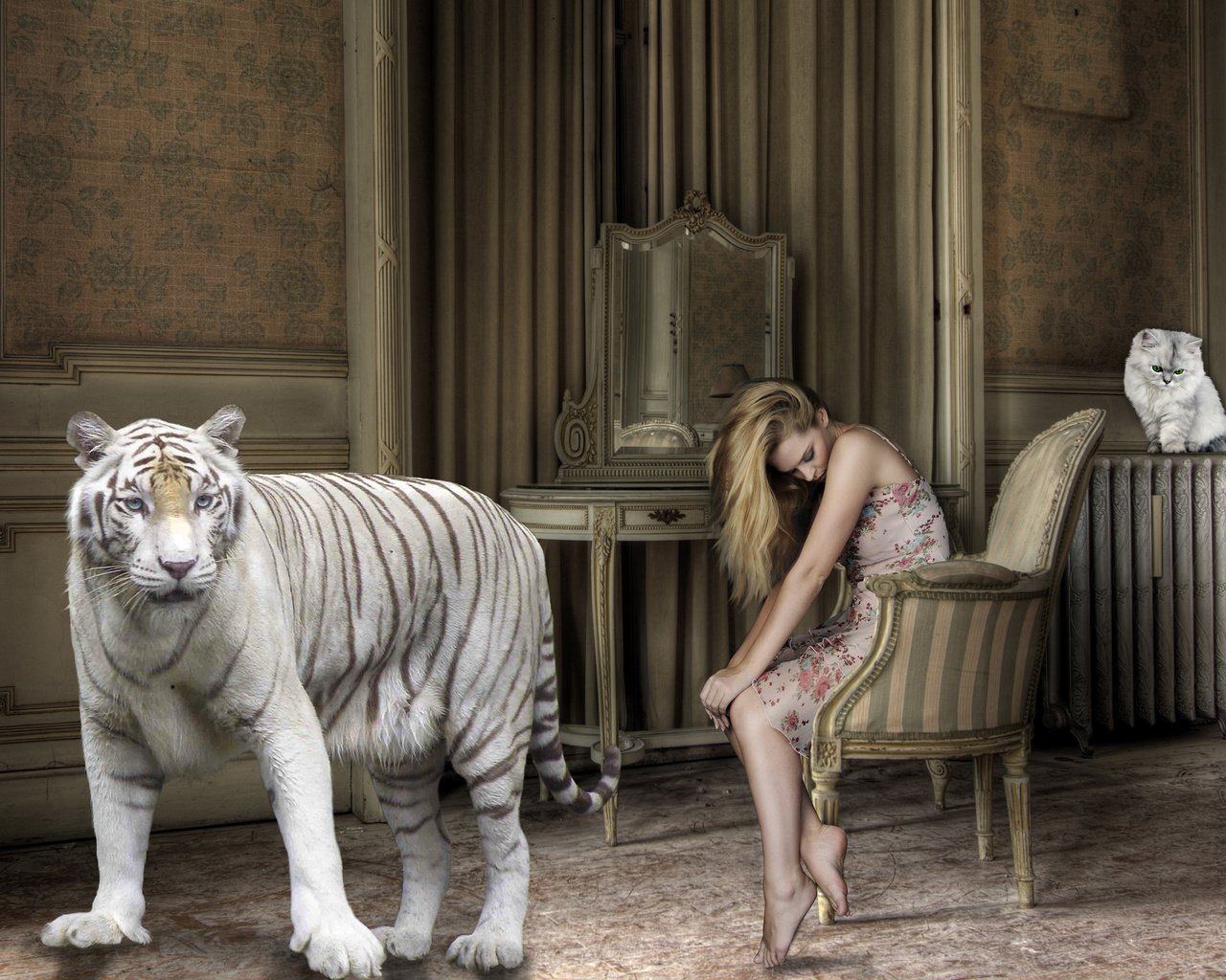 Обои босиком, тигр, большой кот, девушка, батарея, кошка, комната, креатив, волосы, кресло, белый тигр, barefoot, tiger, big cat, girl, battery, cat, room, creative, hair, chair, white tiger разрешение 2880x1800 Загрузить