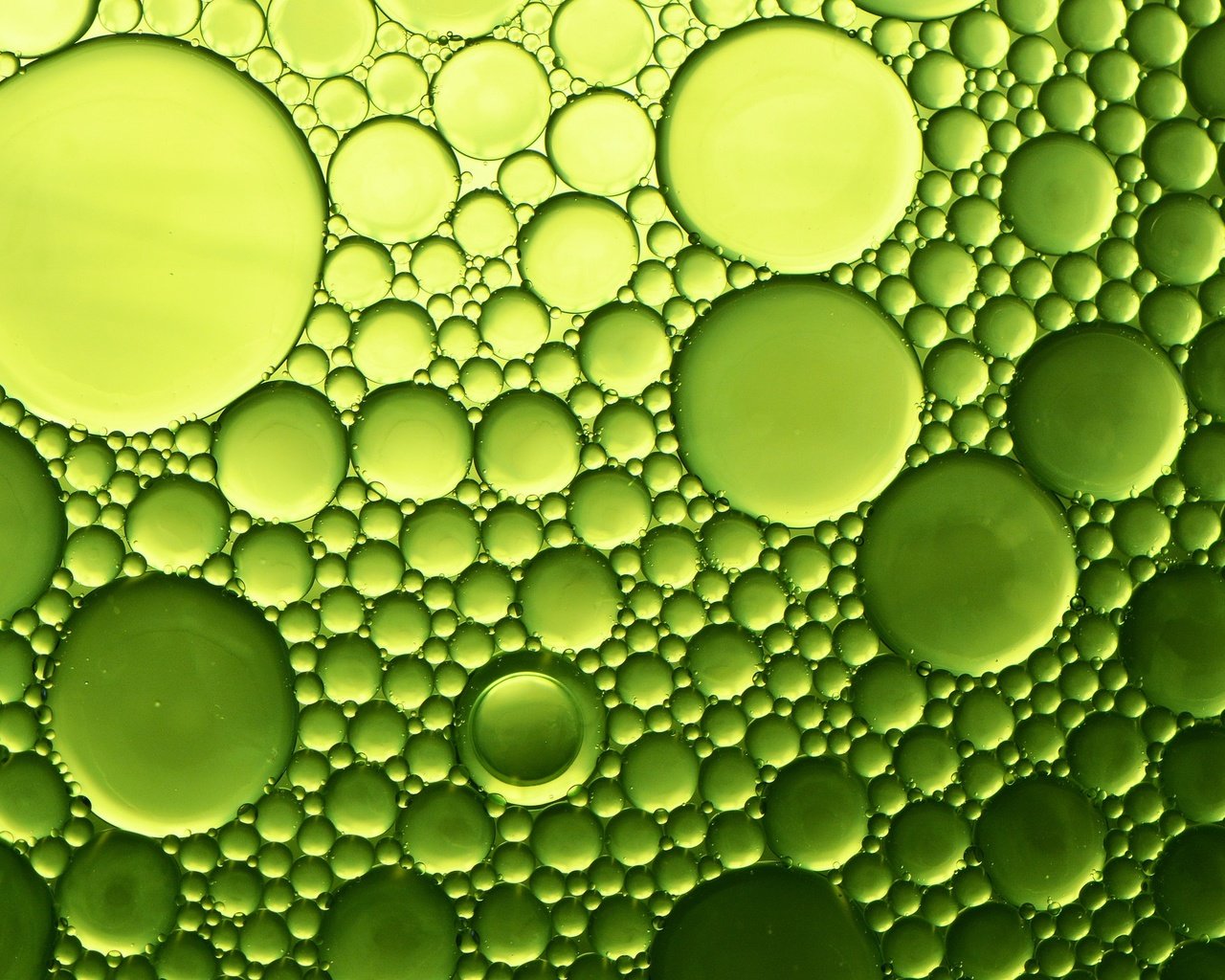 Обои вода, абстракция, макро, цвет, пузыри, форма, масло, water, abstraction, macro, color, bubbles, form, oil разрешение 2048x1365 Загрузить
