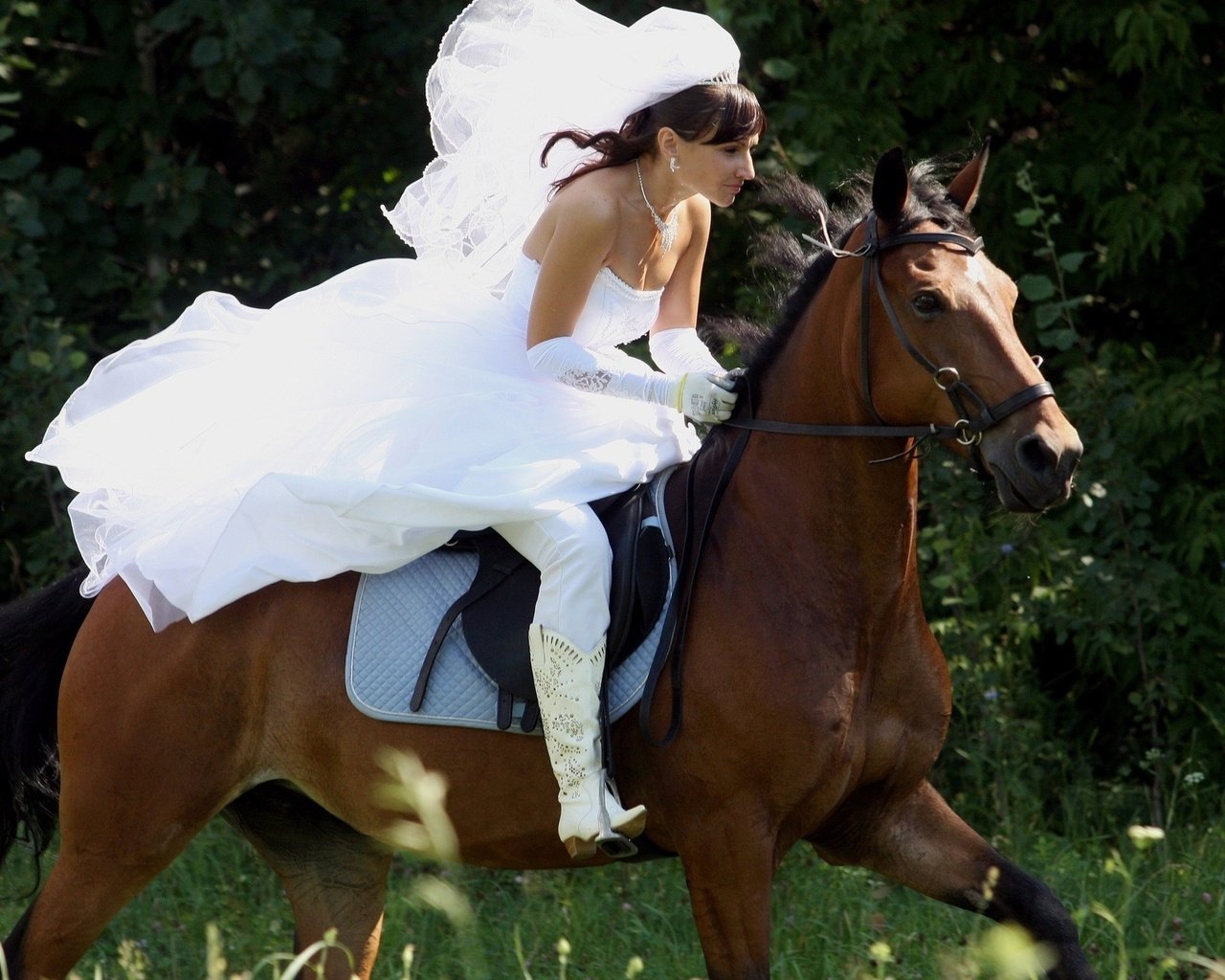 Обои лошадь, девушка, платье, скачет, фата, бежит, езда, horse, girl, dress, jump, veil, runs, riding разрешение 2560x1600 Загрузить
