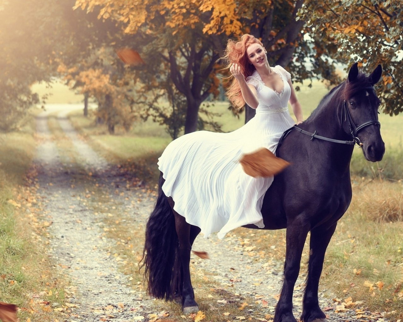 Обои девушка, верхом, на лошади, girl, top, horse разрешение 2560x1440 Загрузить