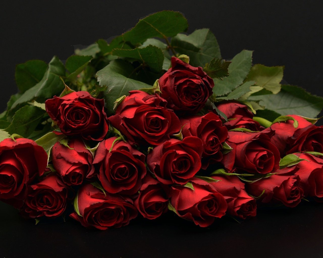 Обои бутоны, фон, букет, темный, красные розы, buds, background, bouquet, dark, red roses разрешение 1920x1280 Загрузить