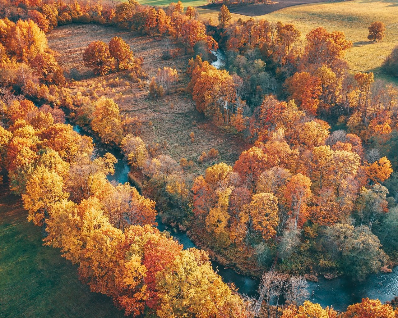 Обои деревья, река, природа, пейзаж, вид сверху, осень, trees, river, nature, landscape, the view from the top, autumn разрешение 3840x2160 Загрузить