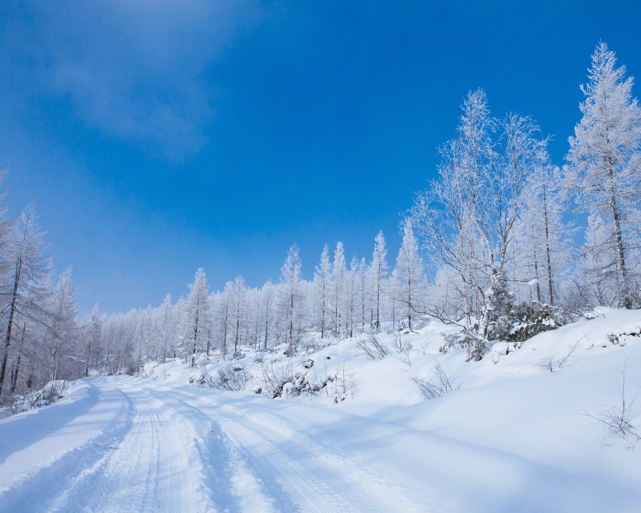 Обои дорога, колея, снег, голубое небо, природа, лес, зима, иней, ели, сугробы, road, track, snow, blue sky, nature, forest, winter, frost, ate, the snow разрешение 5616x3744 Загрузить