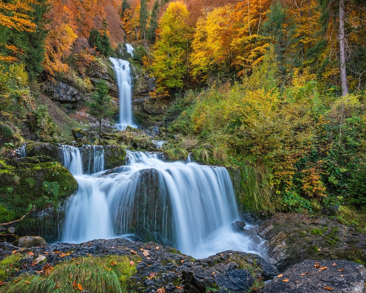 Обои лес, скала, водопад, осень, швейцария, каскад, forest, rock, waterfall, autumn, switzerland, cascade разрешение 1920x1282 Загрузить
