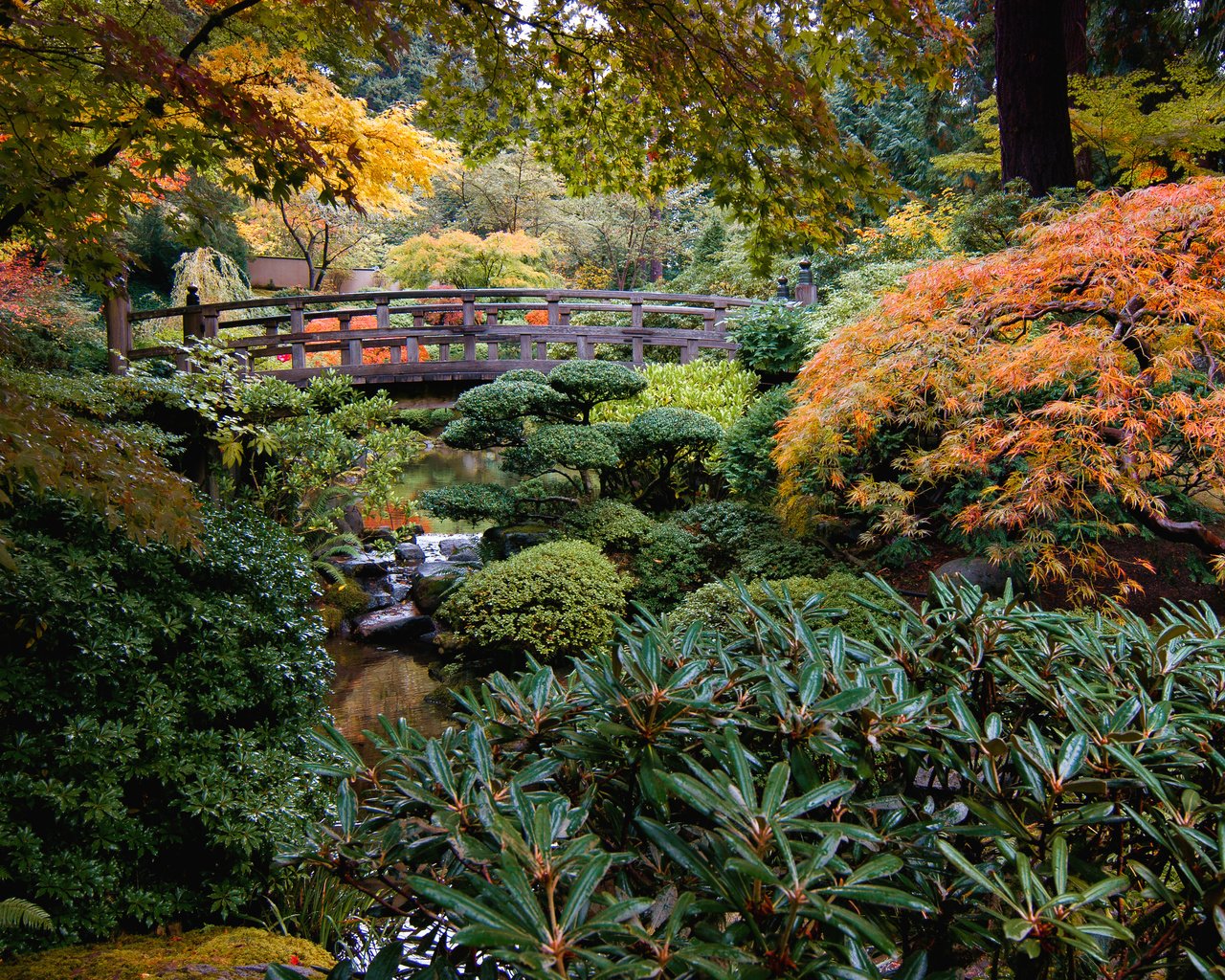 Обои природа, ручей, кусты, мост, сад, сша, японский сад, portland japanese garden, nature, stream, the bushes, bridge, garden, usa, japanese garden разрешение 3957x2507 Загрузить