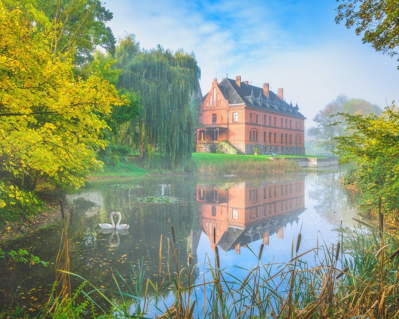 Обои туман, осень, дом, пруд, лебеди, fog, autumn, house, pond, swans разрешение 6000x4000 Загрузить