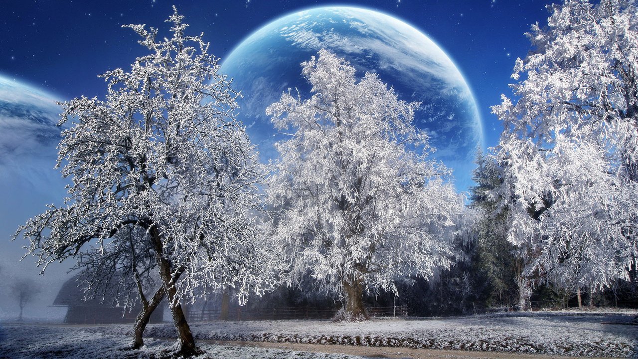 Обои деревья, снег, зима, планета, trees, snow, winter, planet разрешение 1920x1200 Загрузить