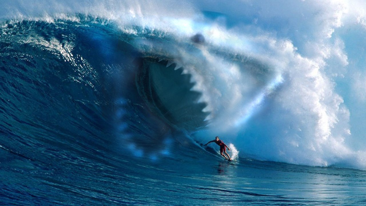 Обои море, волна, зубы, спорт, серфинг, акула, гавайи, sea, wave, teeth, sport, surfing, shark, hawaii разрешение 1920x1200 Загрузить