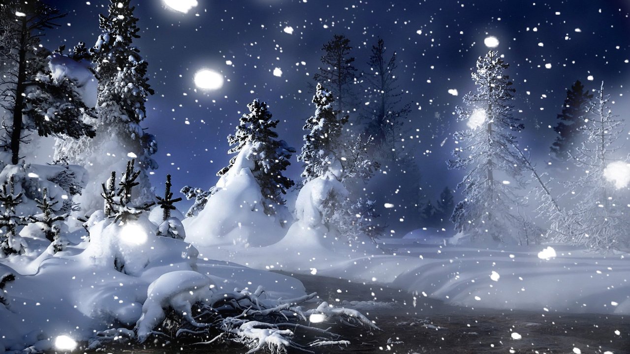 Обои ночь, снег, лес, зима, елочки, night, snow, forest, winter, christmas trees разрешение 1920x1200 Загрузить