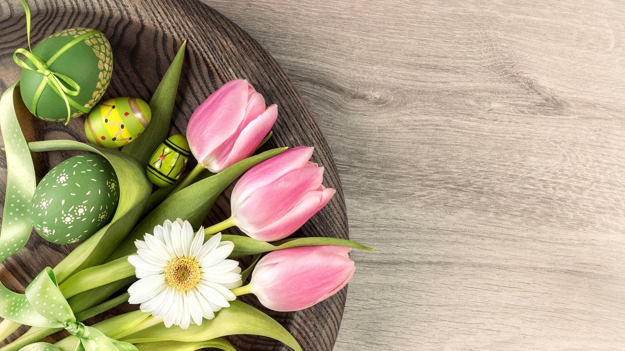 Обои ромашка, тюльпаны, пасха, тульпаны, зеленые пасхальные, daisy, tulips, easter разрешение 2880x1922 Загрузить