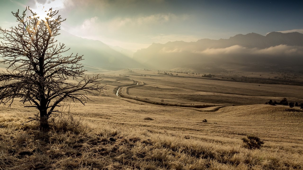 Обои горы, дерево, утро, туман, поле, mountains, tree, morning, fog, field разрешение 2560x1707 Загрузить